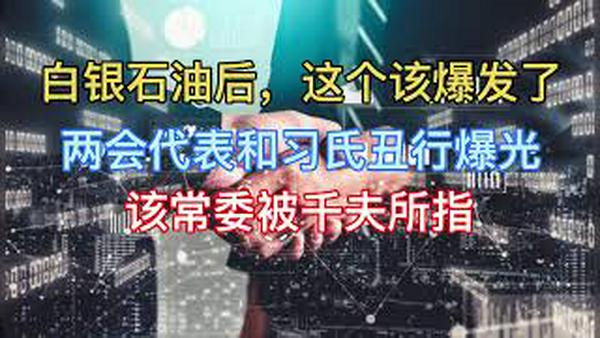 该常委舔习被千夫所指！两会代表和习氏丑行爆光不少！白银石油后，这个该爆发了！