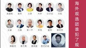 王志安违反台湾签证规定被处罚，海外网红大V团赴台湾观选是不是也跟他一样犯了规？《建民论推墙2237期》