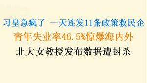 习皇急疯了，一天连发11条政策想起死回生民营经济！青年失业率46.5%惊爆海内外，北大美女教授发布数据遭封杀！会消失吗？(20230719第1078期)