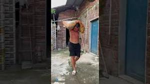 上层在撒币，底层在拼命