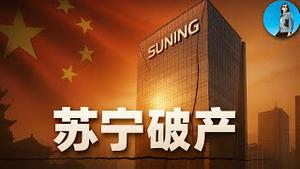 又一家民企爆雷！苏宁破产重组，2000亿债务怎么处理？苏宁的死法，就是中国民企的未来！｜小翠时政财经 20251028#794