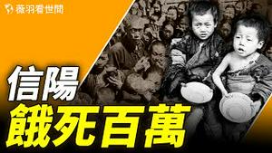 信阳大饥荒有多惨？饿死的人数陶铸不让报。｜薇羽看世间 20240615