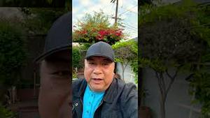 封匪、躺匪、共匪。