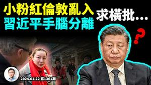 小粉红伦敦对钢琴家发飙，流量爆表，粉红的世界你懂吗？习近平发生「手脑分离」症状（文昭谈古论今20230122第1361期）