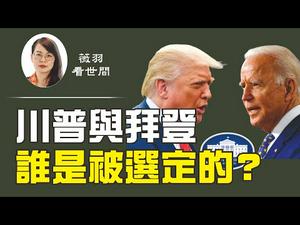 【第105期】左媒称川普民调低于拜登，川普发推「抽干沼泽」绝地反击。他还是那个被选定的人吗？| 薇羽看世间 20200811