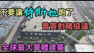 特斯拉提前还清债务这是要准备跑了吗|特斯拉销售比同期翻2倍，廉价车型或许更受欢迎|特斯拉上海超级工厂，年产50万辆纯电动车|#特斯拉#TSLA#超级工厂#跑路#CC subtitles added