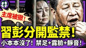 习近平见班禅，下台实锤，凶兆指向景山！彭丽媛和习分开监禁？官宣主席被撤，习最后价值：静音露面！（老北京茶馆/第1375集/2025/06/06）