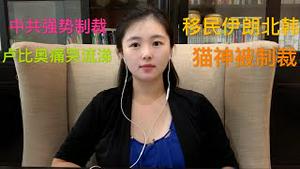 中共强势制裁美国11名官员，卢比奥痛哭流涕等待召唤神龙，中共官员准备集体移民伊朗北韩，猫神即将进入美帝制裁名单，以后准备天天数钱