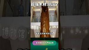 毁尸灭迹！党国博物馆成灰烬，领导笑了！