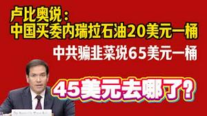 卢比奥说：中国买委内瑞拉石油20美元一桶，中共骗韭菜说65美元一桶。45美元去哪可？2026.01.31NO3289