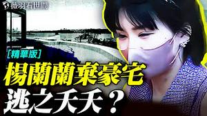 杨兰兰消失前的24小时：豪宅清空、车影无踪！红色轮盘再转动：权贵家族与启皓地下的秘密世界。｜薇羽看世间【精华版】 20251021