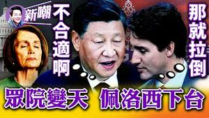 这段视频疯传：习近平粗鲁训斥特鲁多，特鲁多客气回怼！没听懂还很得意，这个翻译该墙壁！公然训斥特鲁多，什么事让习近平如此不满？共和党艰难拿下众院，佩洛西终于走人！2022.1117