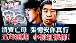 五年大牢+25万美金，波士顿小粉红放狠话付出代价！为流量亲妈都不放过，被全网围观的大V-张忆安！2022.1216