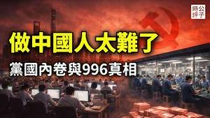 中国韭菜的悲惨一生！党国牛马的996和狼性文化真相，中国人吃苦耐劳不是好事？