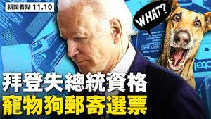拜登失去资格，承认还不是总统；10州检察长挺川普，巴尔破例调查舞弊；共和党大佬挺川普，天秤向川普倾斜；最奇葩投票：母狗邮寄选票；宾州邮局员工遭报复，奥巴马将任驻英大使？【 大纪元 新闻看点11.10】