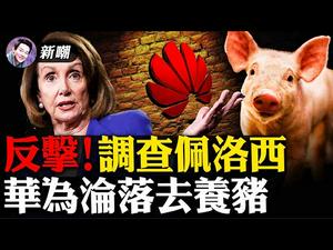 佩洛西乱政遭调查！华为卧薪尝胆要养猪！一笔不起眼的交易将孟晚舟拉入深渊！蝴蝶效应无处不在！【新闻最嘲点 姜光宇】Mr.FunnyNews (2021.02.16）‬
