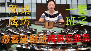 香港两大特务暴力机构成立，维安会长大港奸，建制派精英成韭菜