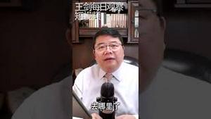 中国的钱去哪儿了？/王剑每日观察 #shorts