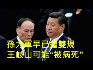 孙力军站错队，11天前已遭双规；王岐山躺枪，不作为可能“被病死”！ （一平快评114，2020/04/19）