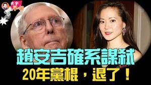 赵安吉案再现反转，恐殒命他人之手！最高法同意审理懂王上诉案，选战势如破竹，钱包瘪的迅速！麦康奈尔引退，无奈还是怕了？碧桂园被申请清盘，大地震即将到来！『光宇早嘲』2024.0301