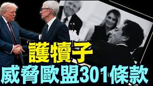 白宫大餐后 ⋯ 川普不惜翻脸：全力保护美高科技公司在欧洲的一切利益与权益！（09 06 25）#川普 #特朗普 #trump #putin #普京