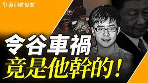 谁是令谷车祸的幕后黑手？他的父亲竟是新四人帮的一员！胡锦涛惊觉自己被蒙在鼓里！｜薇羽看世间 第835期 20240304