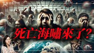 中国殡葬业爆死亡率激增，上面隐瞒不报，是苗后遗症爆发还是新疫情？林晓旭博士谈疫情。｜薇羽看世间 20250212