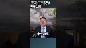 电影《野孩子》为什么撤档？/王剑每日观察 #shortsfeed #shortsvideo #shortsviral