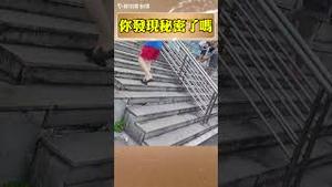 墙国高质量台阶，创绊倒路人纪录！