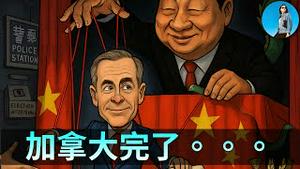 🔴【每日要闻】习近平生气气，台湾“疑美论”再起！加拿大切换亲中路线，电动车换菜籽油！伊朗高官海外财富遭美方追查！A股量化基金遭铁拳，美股半导体大涨！｜小翠时政财经 20260116