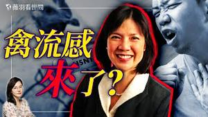 她被解僱了！鸡蛋涨价真相！美国鸡蛋涨不停是因为她？｜薇羽看世间 20250208