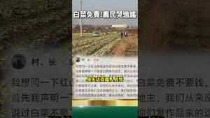 崩溃！党发造谣视频，牛马倾家荡产！