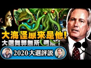 【大选评说】林伍德爆大海怪真实身份—美军网络战计划，代号圣雷达！拜登内阁到位，可以一窝端了【江峰时刻20201125】