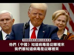 美国宣布紧急状态，学校停课，超市抢购，川普免学生贷款，国家储存石油，美国务院召见中国驻美大使，问责谁是灾难源头？《建民论推墙855》