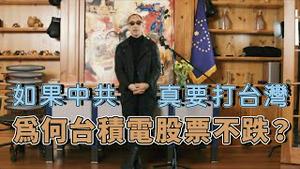 金灿荣和胡锡进 是共产党养的两个高级的狗  [中文字幕]｜KO3316