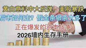 最新！全球3大资产价格生变！假金条银条太多了！2026墙内生存手册！突然消失的美女明星！