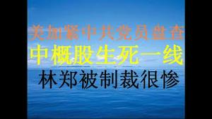 财经冷眼：美国突击检查赴美人员党员身份！2万亿中概股去留将投票决定！ 林郑被制裁后很惨！（20201130第393期）