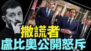 泽伦斯基显然不敢面对 ⋯ 美国副总统等数人当面质对！（02 21 25）#川普 #特朗普 #trump #马斯克 #elonmusk #乌克兰 #zelensky #putin