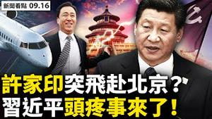 💥赵薇真人露面，网友热捧？！恒大股债双杀，困难前所未有；‭许家印突进京，习近平为难！疫传2幼园4学校，30患者不满10岁；漳州早爆疫，甩锅男子复阳？朱军暂脱罪，弦子打输3要素【新闻看点‭09.16】