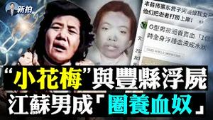 💥彭丽媛与中共高层，如何介入徐州案？江苏90后男子被拐卖，拿去抽血卖钱，一次三大袋；小花梅家乡「云南亚谷村」的悲歌；北大百学子联名，促彻查八孩母案，微博网友关注，遭网管“追杀”｜新闻拍案惊奇 大宇