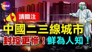 😭【录音】被消失的声音! 鲜为人知的中国二三线城市封城实况: 地方官瞒报, 0感染却“静默”2个月! 当中国人的希望之剩下用“正能量”骗自己…… #真观点真飞【20220605】#中国疫情