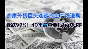 突发！多家外资巨头连夜拆生产线逃离！暴跌99%，40年来最重要的经济指标归零！中国经济悬崖崩塌......(20250218第1464期)