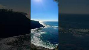 洛杉矶圣诞树湾