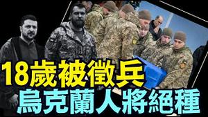 身价$24000美元！泽伦斯基回报 ⋯ 川普呼吁和平 珍惜年轻人的努力！（03 25 25）#川普 #特朗普 #trump #马斯克 #elonmusk #乌克兰 #zelensky #putin