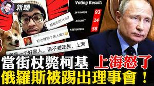 被暂停人权理事会投票权，俄罗斯被边缘化的开始！主人阳性拉走隔离，宠物小柯基被当街杖毙！2022.0407