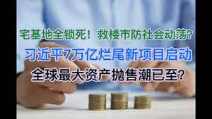 突发！美股加密货币黄金暴跌，全球最大资产抛售潮开始？习近平启动7万亿注定烂尾项目？宅基地全锁死，救楼市还是防社会动荡？