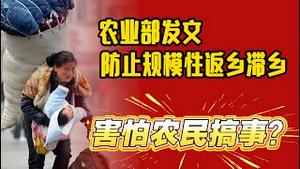 农业部发文：防止农民工规模性返乡滞乡。害怕农民事？2025.11.17NO3152