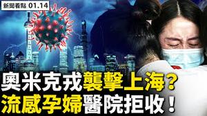 💥高峰时段扩容？行程码大崩溃！境内外同时断网，中国电信整事？奥米克戎袭击上海？5例确诊多地被封；待产孕妇遭逐，奔波百余里产子；民营医院背锅，西安公私分明？【新闻看点 李沐阳 01.14】