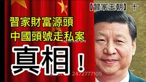习近平家族财富真正源头，中国头号走私集团的双重属性与幕后老板。（习家王朝，十）