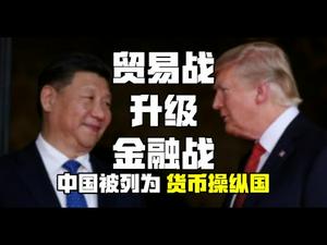 中国被列为汇率操纵国！9月1日,川普恐加税至25%,贸易战升级金融战;人民币的汇率实际应为多少?(政论天下第44集 20190806)天亮时分